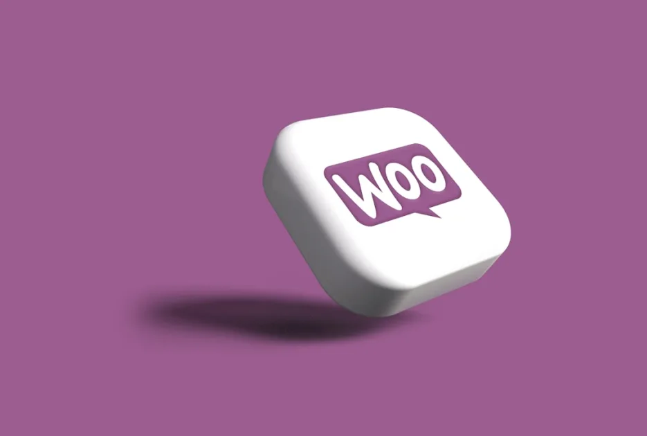 SEO para ecommerce principiantes WooCommerce: guía base