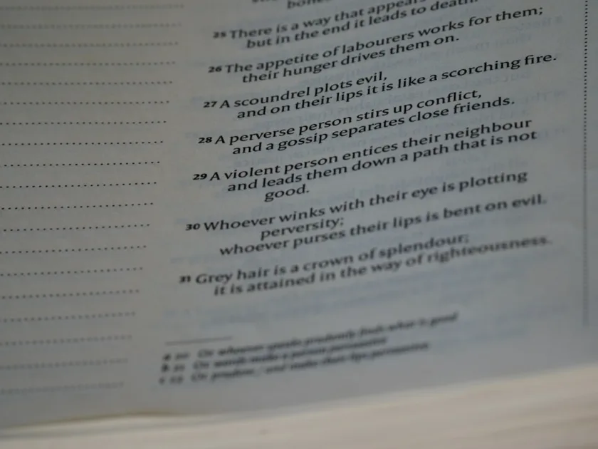 a page of a book
